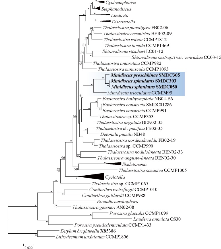 Fig 10