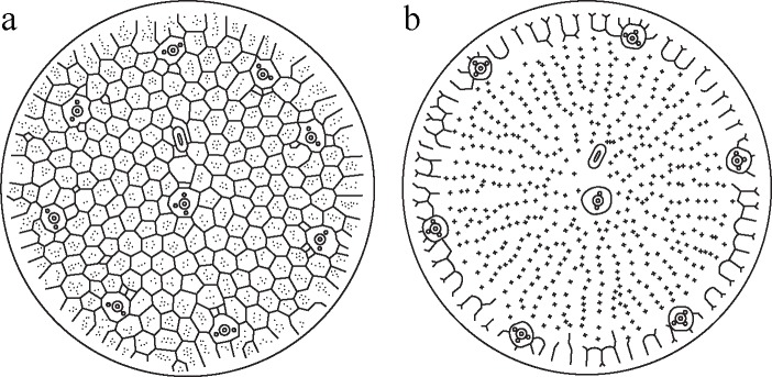 Fig 11