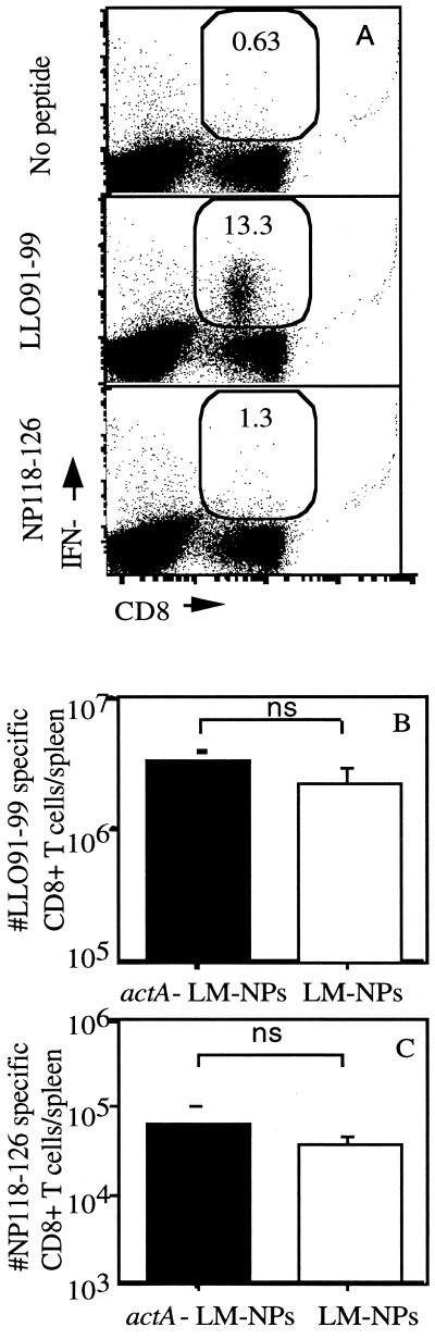 FIG. 1.