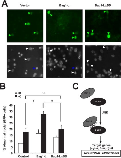 FIG. 6.