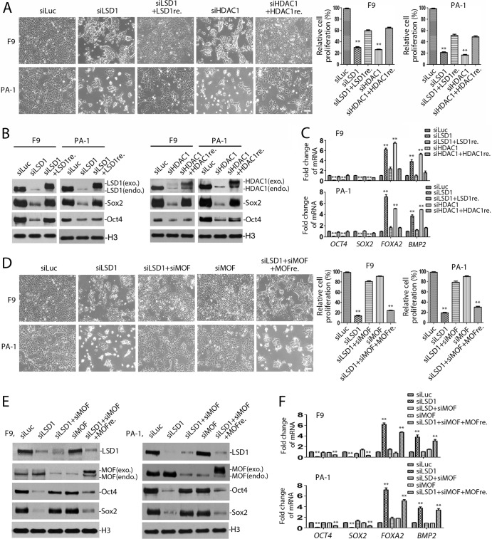 FIG 13