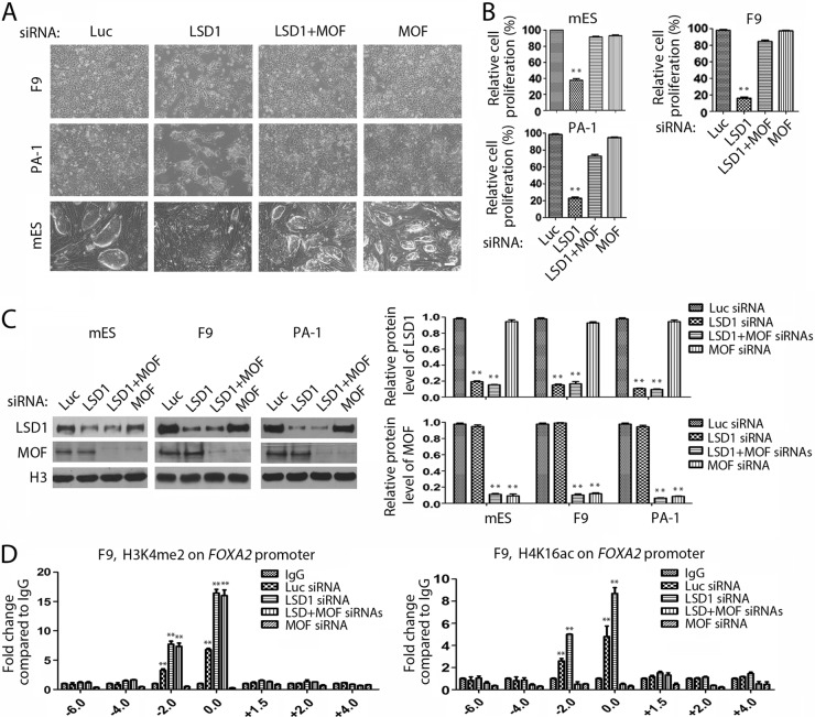 FIG 11