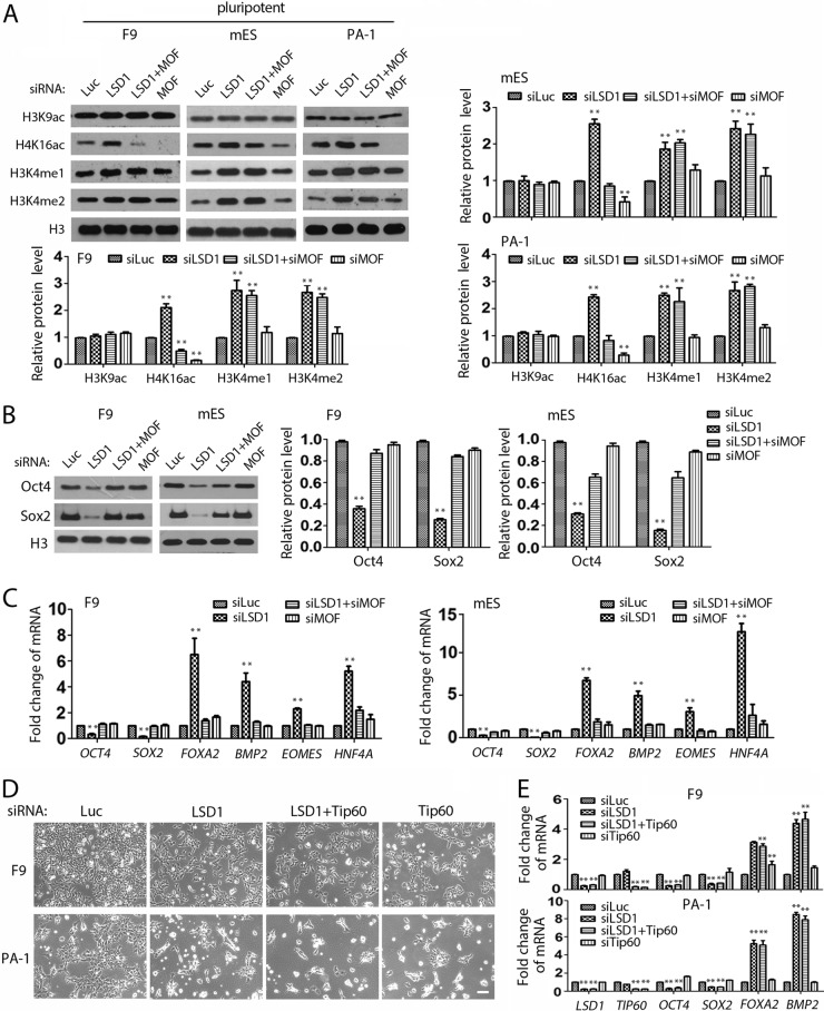 FIG 12