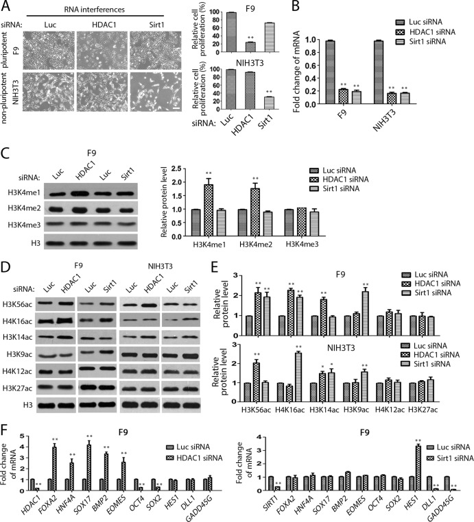 FIG 10