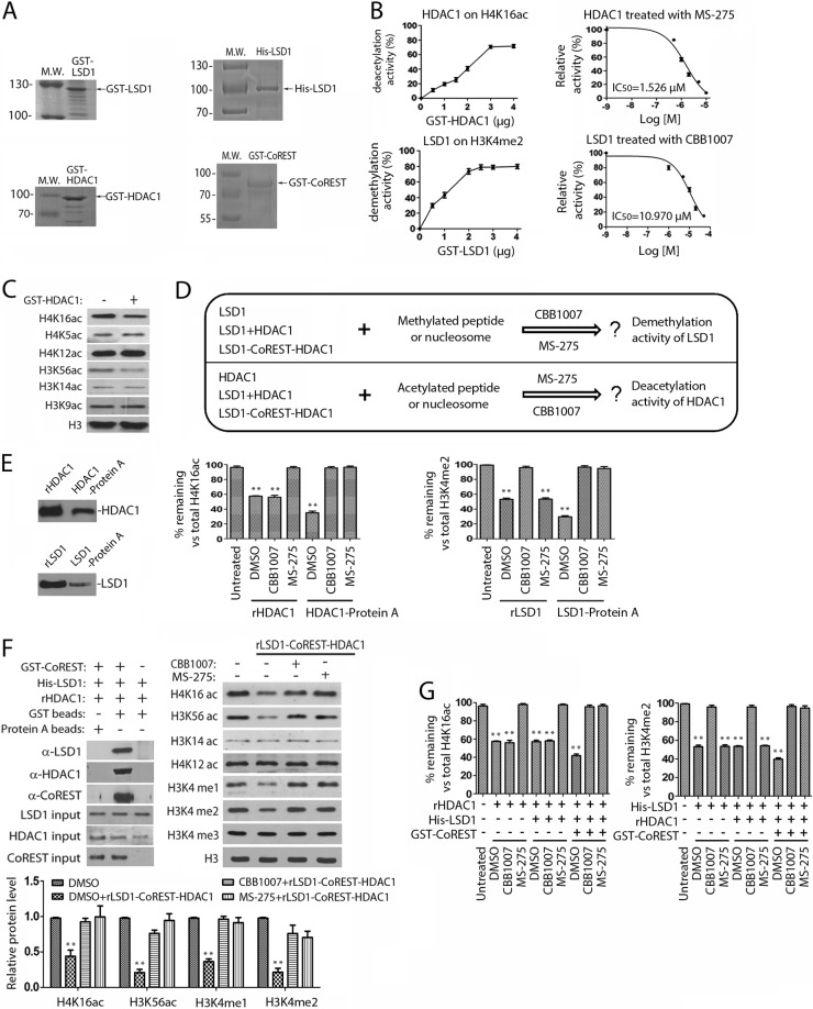 FIG 3