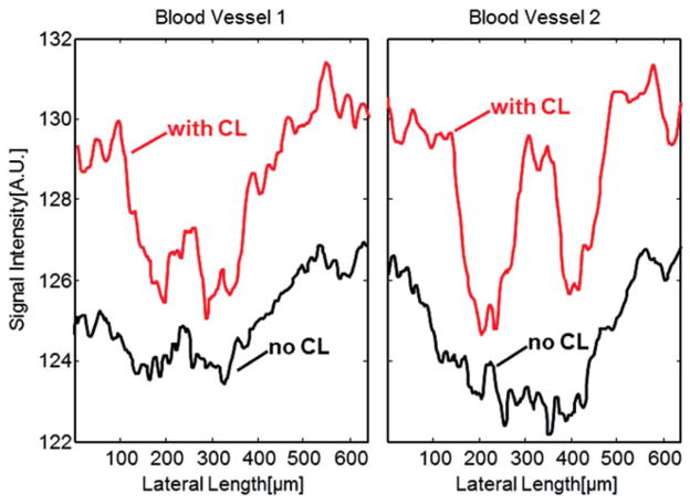 FIGURE 4