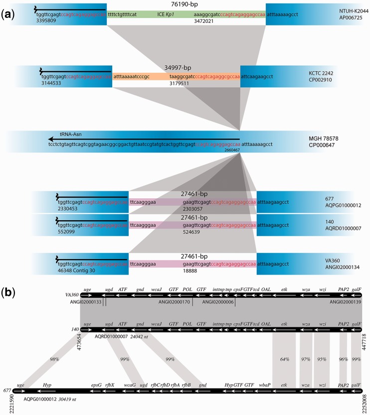 Fig. 2.—