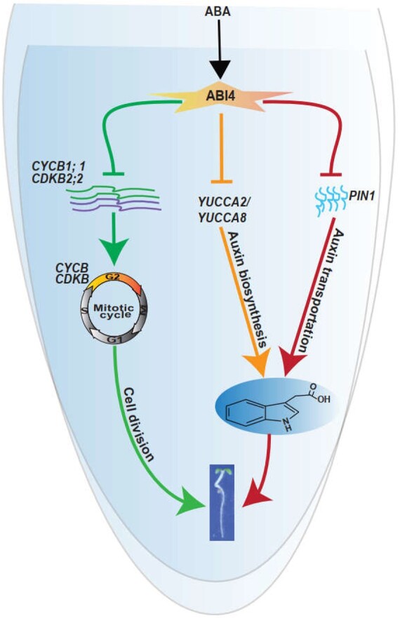 Figure 10