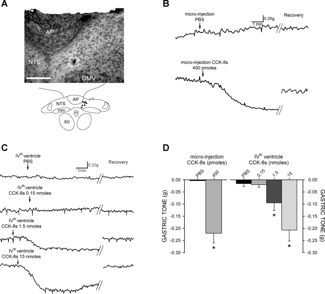 Fig. 1.