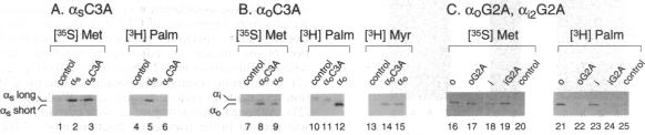 graphic file with name pnas01129-0433-a.jpg