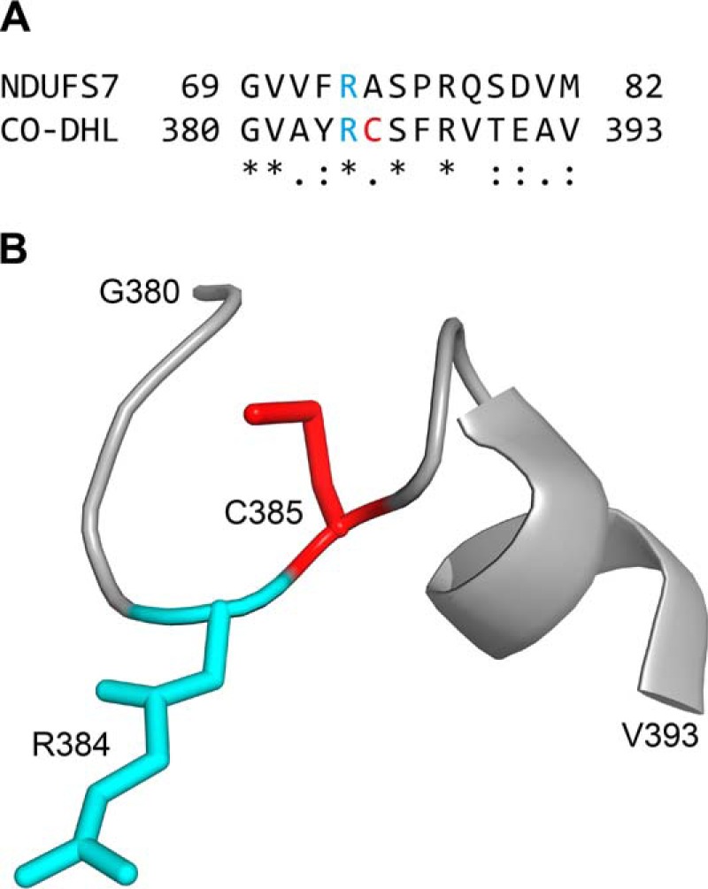 FIGURE 7.