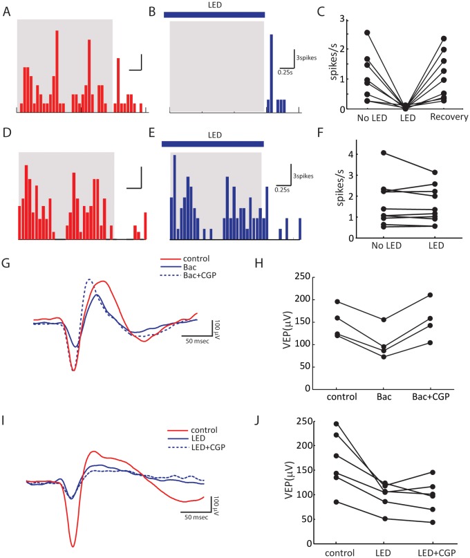 Figure 2—figure supplement 1.