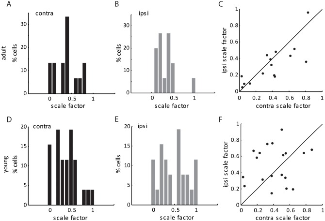 Figure 2—figure supplement 2.