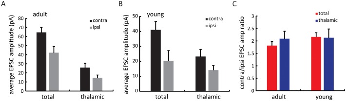 Figure 3—figure supplement 2.