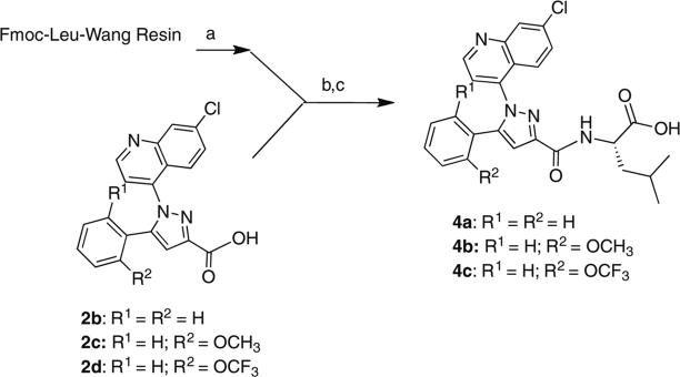 Scheme 2