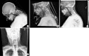 Fig. 8.