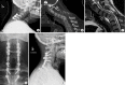 Fig. 10.