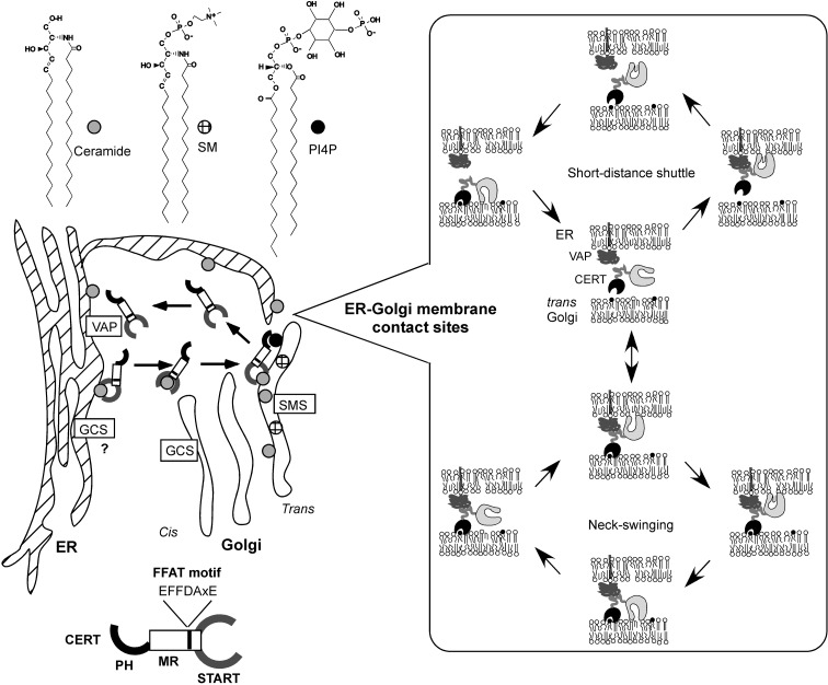 Fig. 6