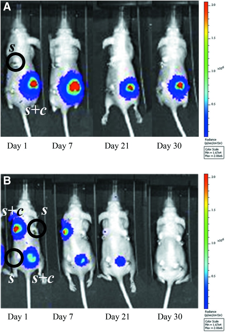 FIG. 4.