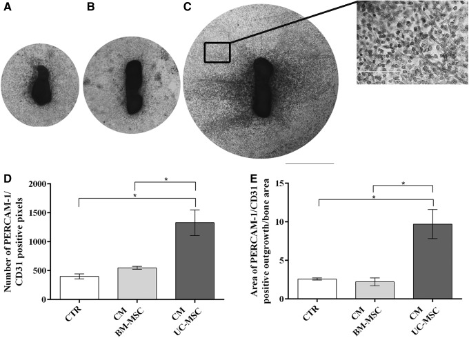 FIG. 5.