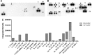 <b>FIG. 6.</b>
