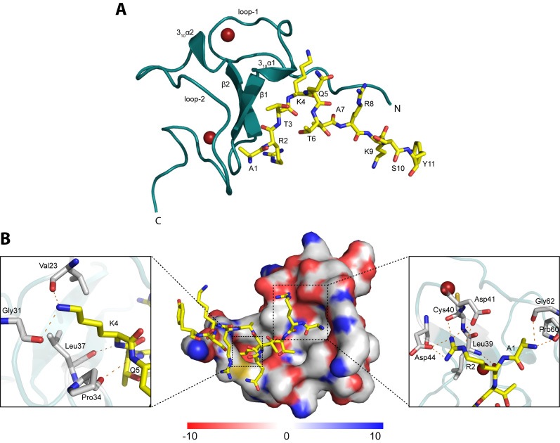 Figure 3.