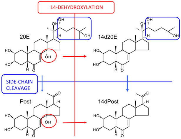 Figure 10