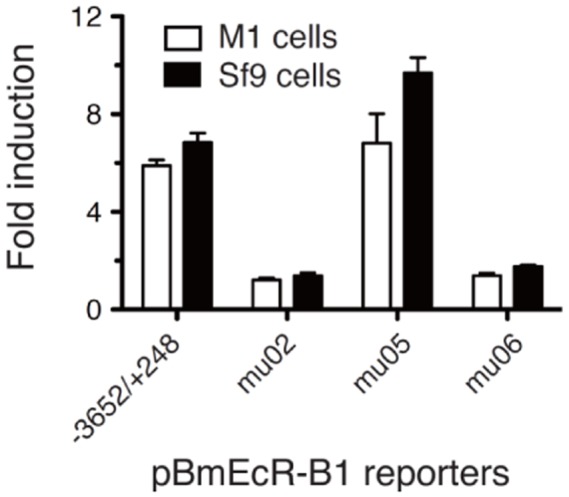 Figure 4