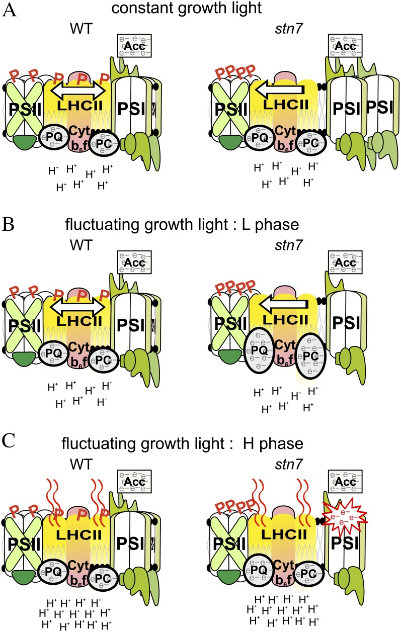 Figure 7.