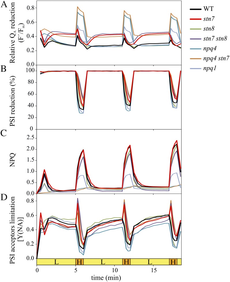 Figure 5.