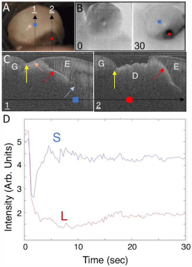 Figure 4.