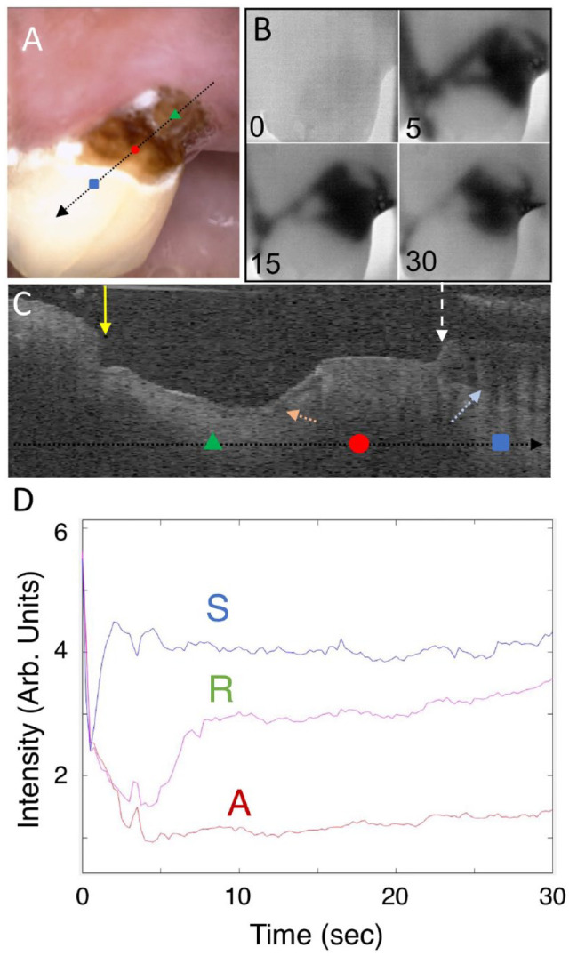 Figure 3.