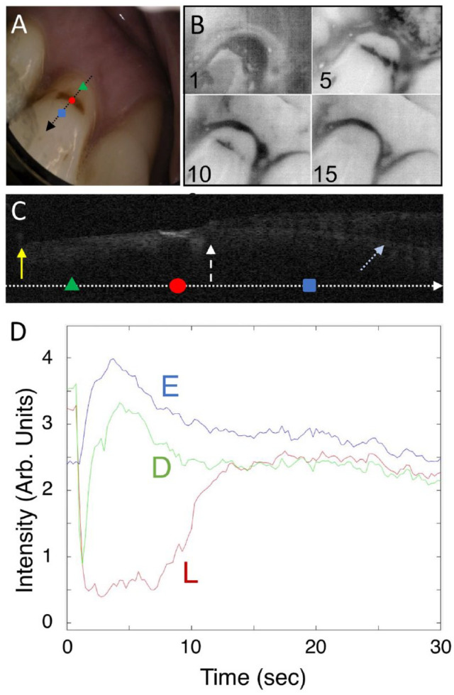 Figure 2.