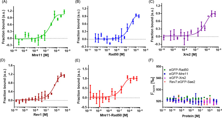 Figure 1—figure supplement 3.