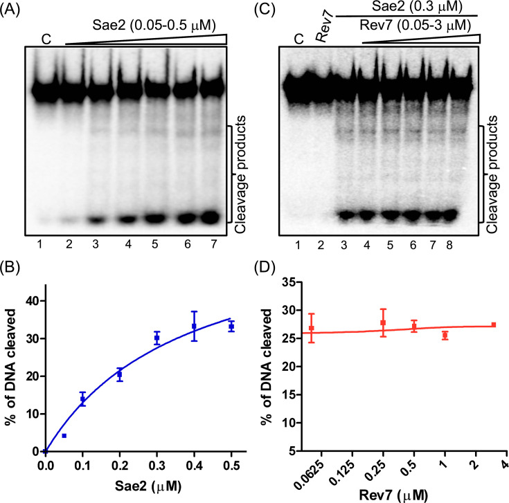 Figure 5—figure supplement 1.