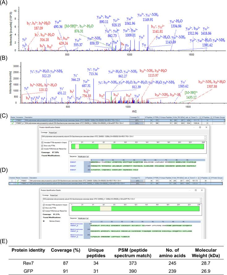 Figure 1—figure supplement 2.