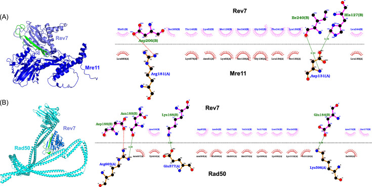 Figure 2—figure supplement 3.