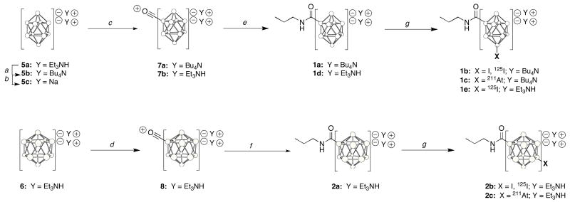 Scheme 1