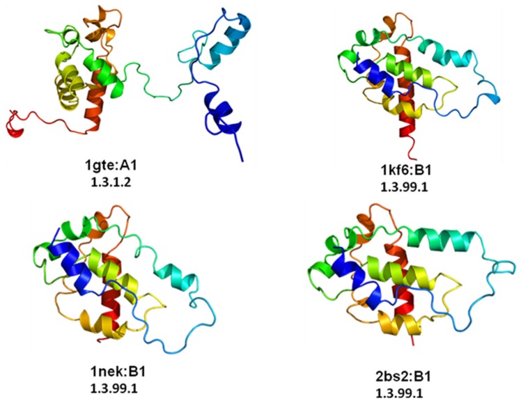 Figure 6