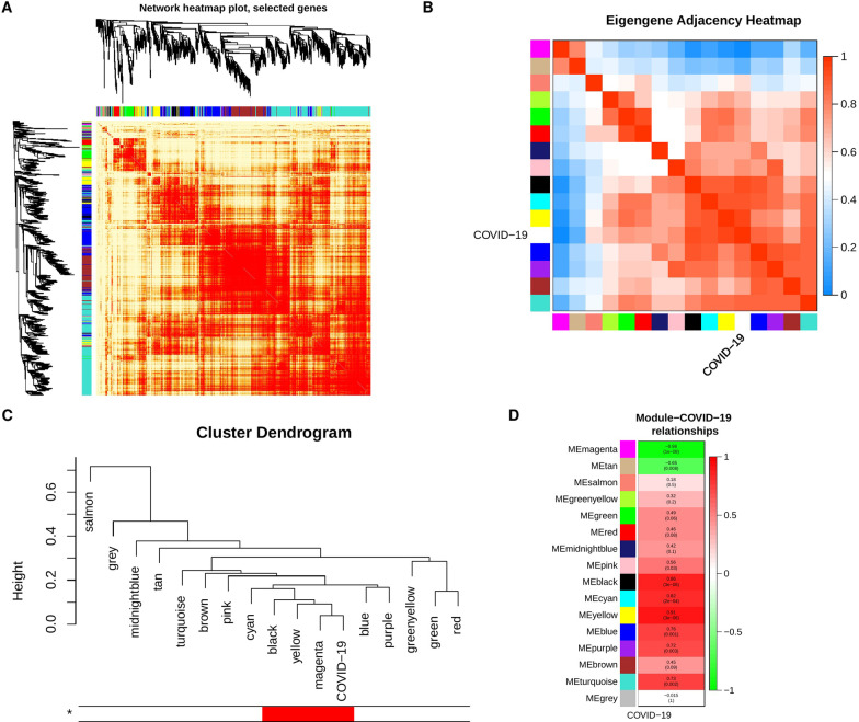 Co-expression Analysis To Identify Key Modules And Hub Genes Associated 