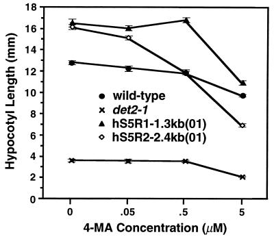 Figure 5