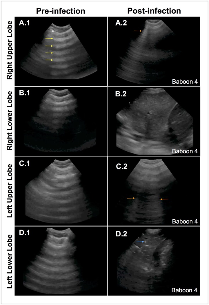 Fig 5