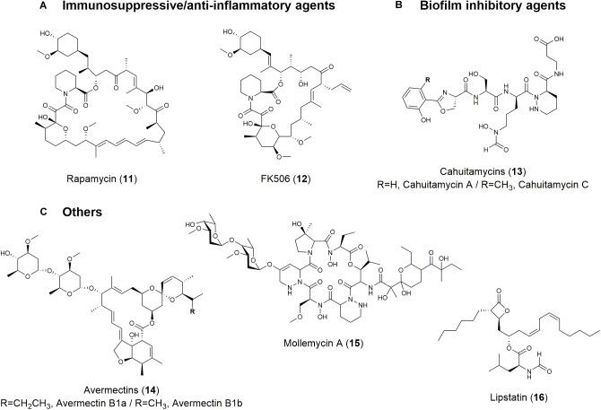 FIGURE 3