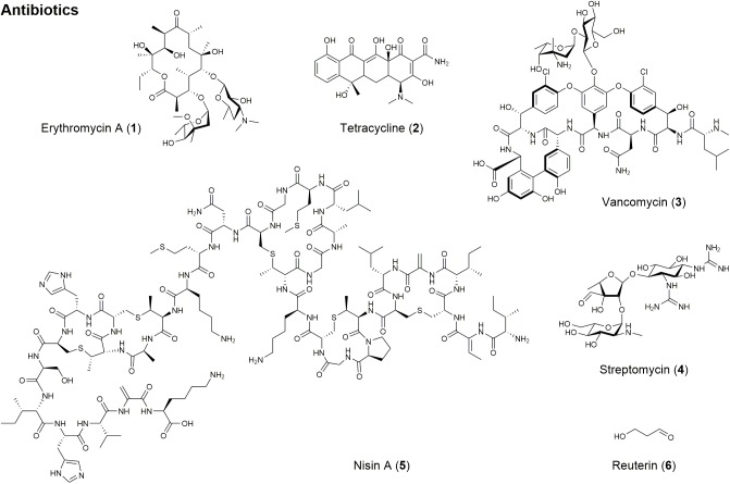 FIGURE 1