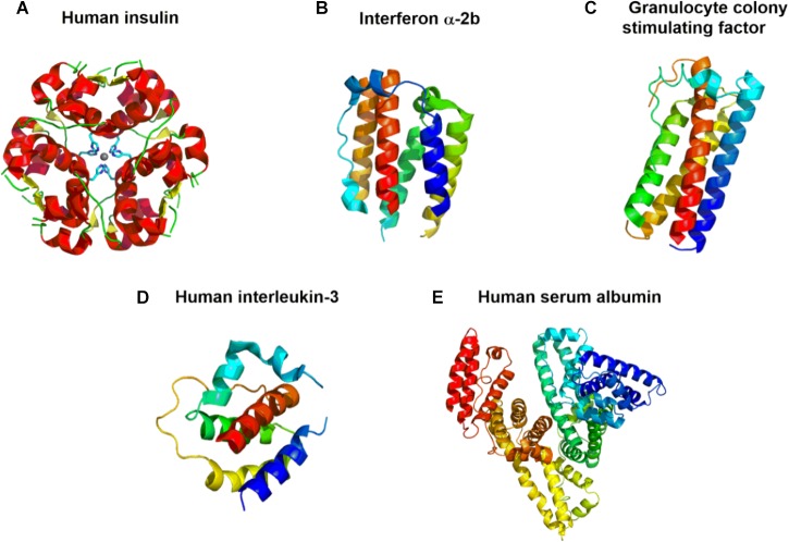 FIGURE 4