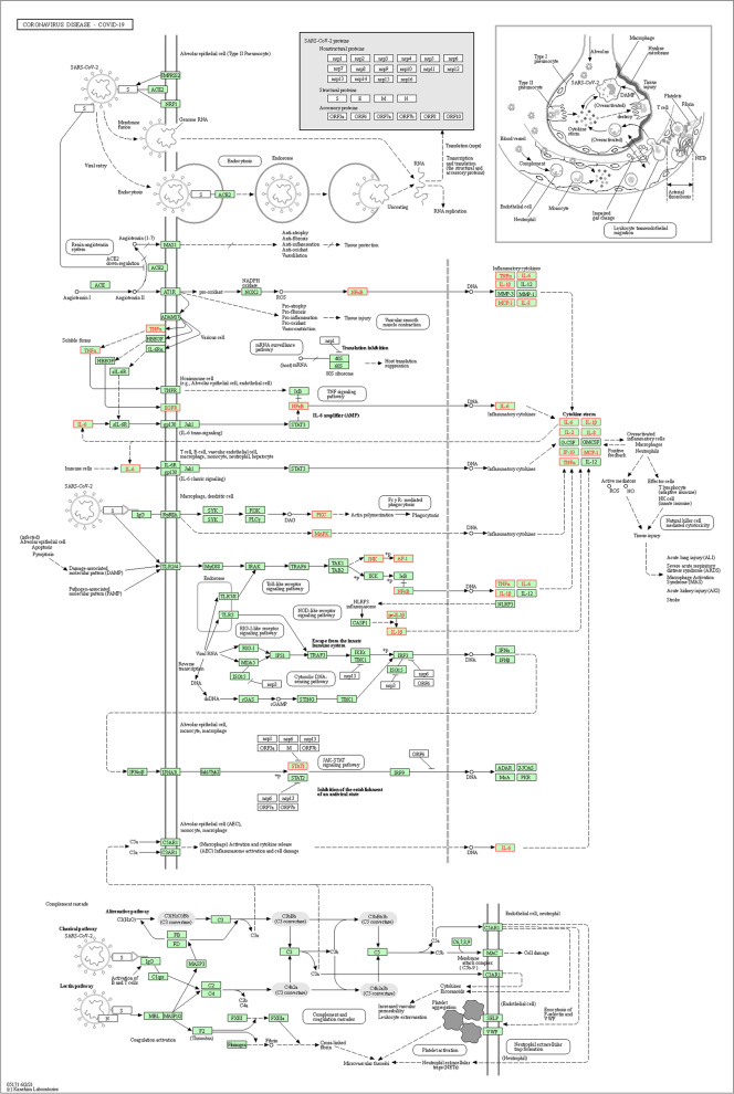 Fig. 6