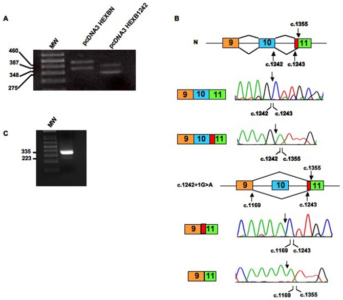 Figure 5