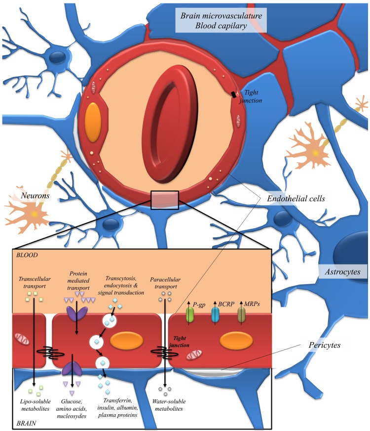 Fig. (5)