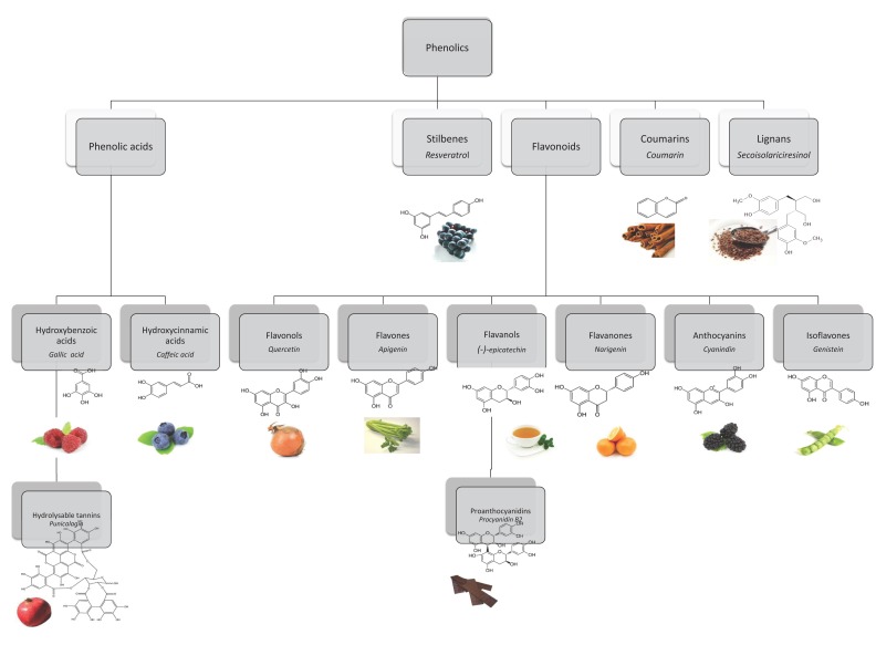 Fig. (3)