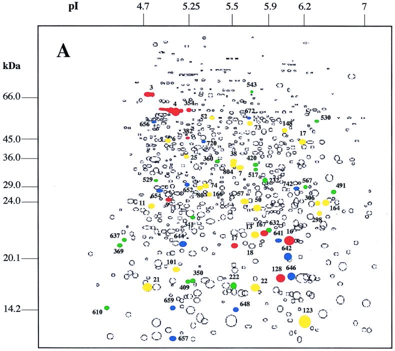 FIG. 1